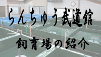 らんちゅう武道館